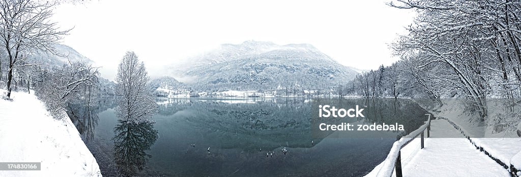 Lake i śnieg, zimowy krajobraz Panorama - Zbiór zdjęć royalty-free (Alpy)