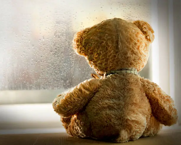 Photo of Teddy bear looking out rainy window