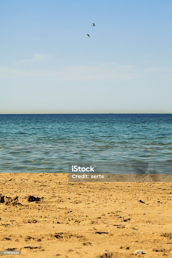 Plaża Morze niebo - Zbiór zdjęć royalty-free (Bez ludzi)