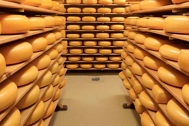 formaggi sugli scaffali in un allevamento da latte - farmers cheese foto e immagini stock