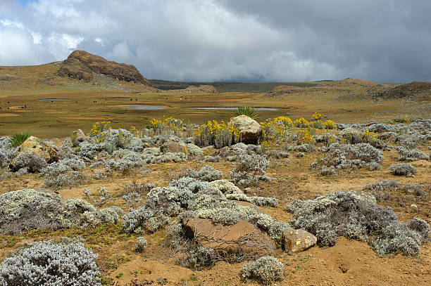 Bale mountains, Ethiopia stock photo