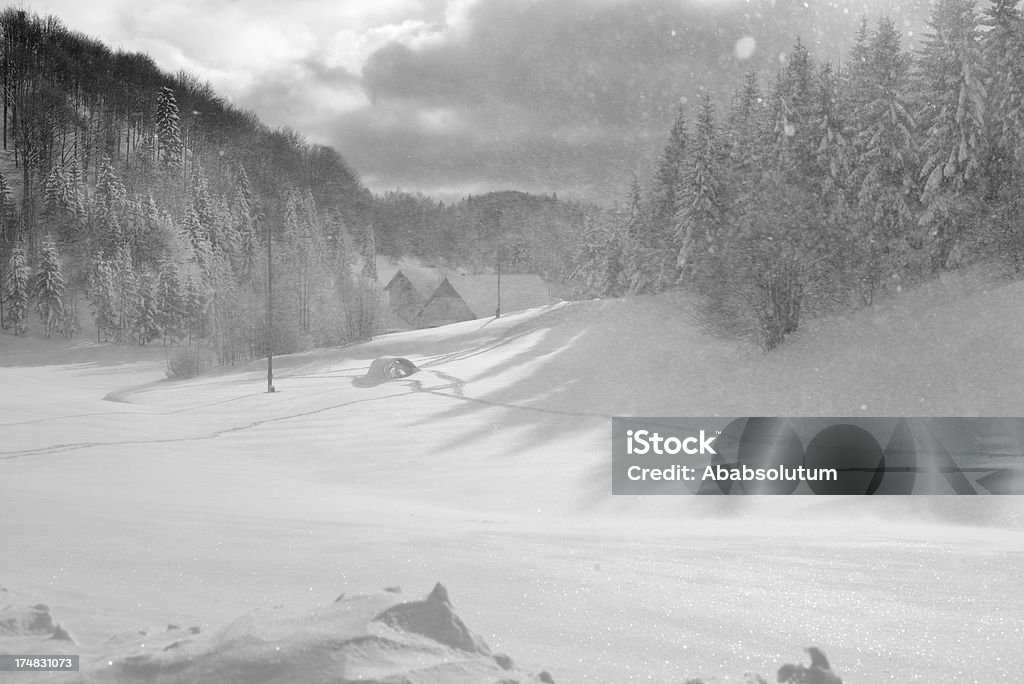 Снежный шторм в Vojsko Словения Европе - Стоковые фото Без людей роялти-фри