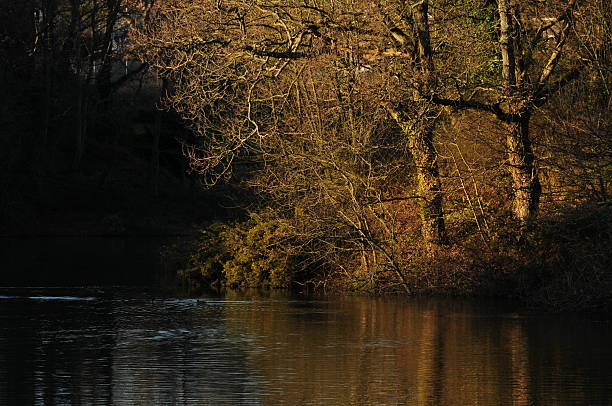 istock Queen's Valley Reservoir, Jersey. 174831371