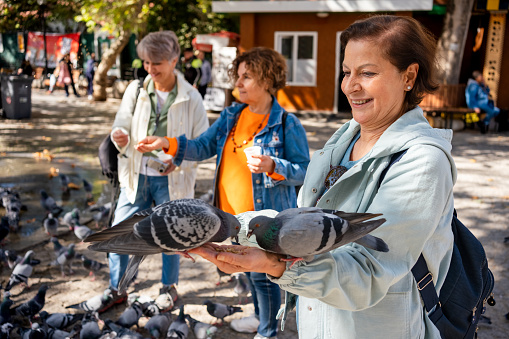 group of women feeding pigeons in the park during a touristic excursion