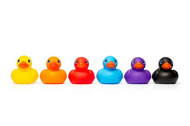 arcobaleno paperelle di gomma - rubber duck foto e immagini stock