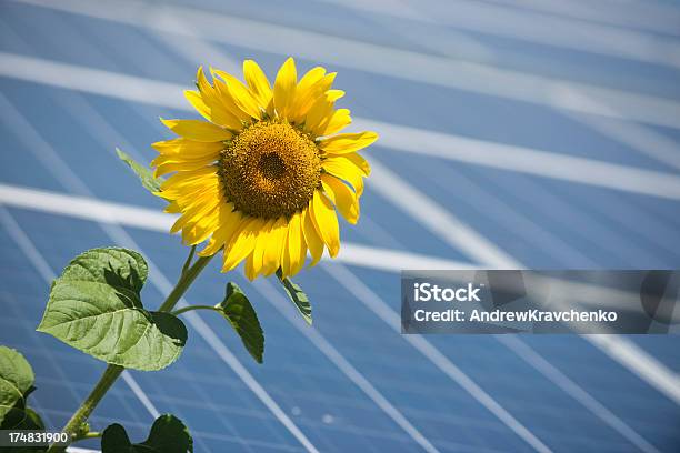 Solar Energy Stock Photo - Download Image Now - Beauty In Nature, Blue, Business