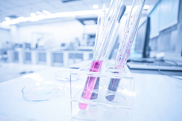 el análisis de las muestras - research clean room laboratory genetic modification fotografías e imágenes de stock