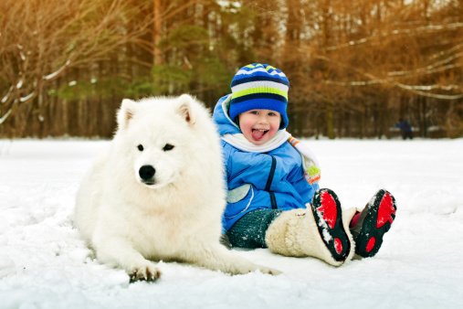 Happy little boy with samoyed dog in winter park
