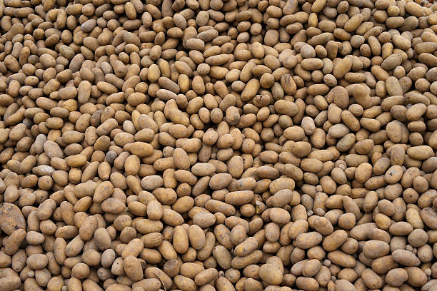 Potatoes