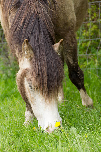 istock Stop and smell the flowers 174832305