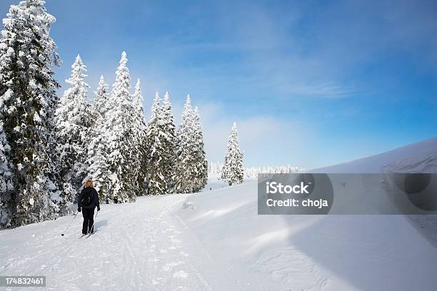 Photo libre de droit de Course De Ski En Hiver Sur Un Magnifique Dayrogla La Slovénie banque d'images et plus d'images libres de droit de Activité de loisirs
