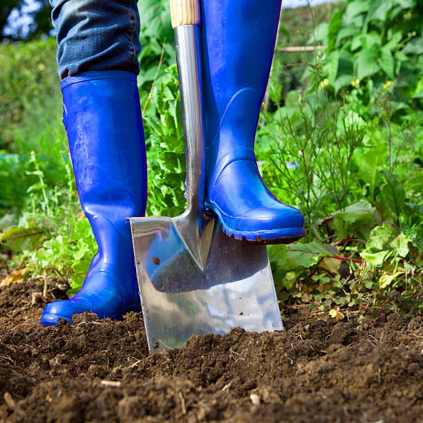 istock Blue Wellies Digging in a Garden 174832562