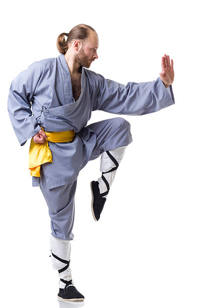 kung fu fighting posição isolada no branco - wushu skill action aggression - fotografias e filmes do acervo