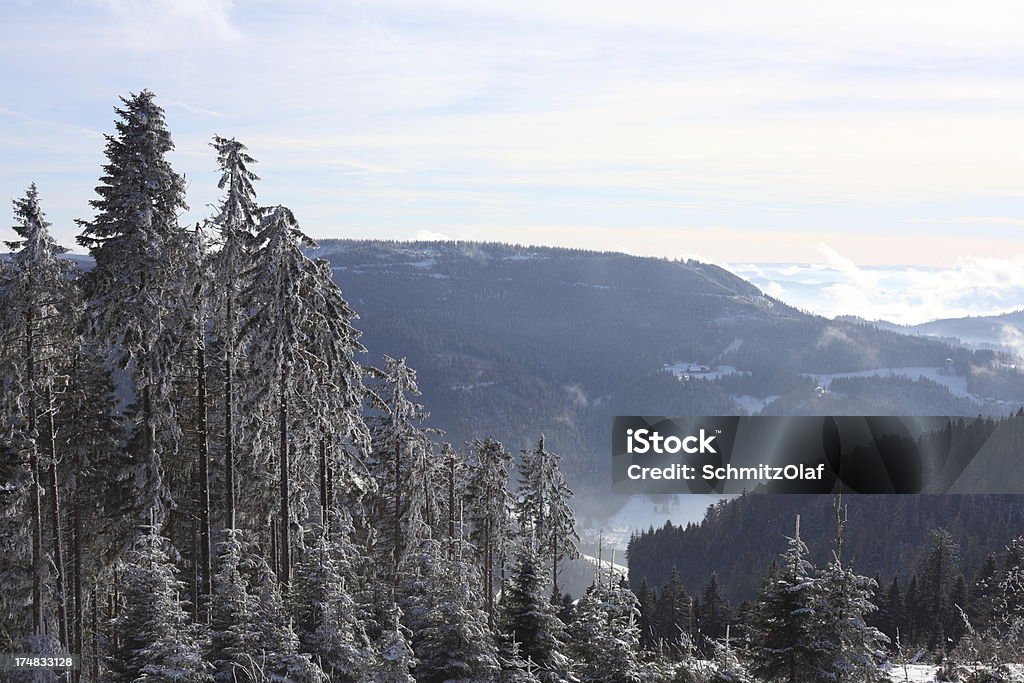 Paesaggio invernale di Foresta nera - Foto stock royalty-free di Abete