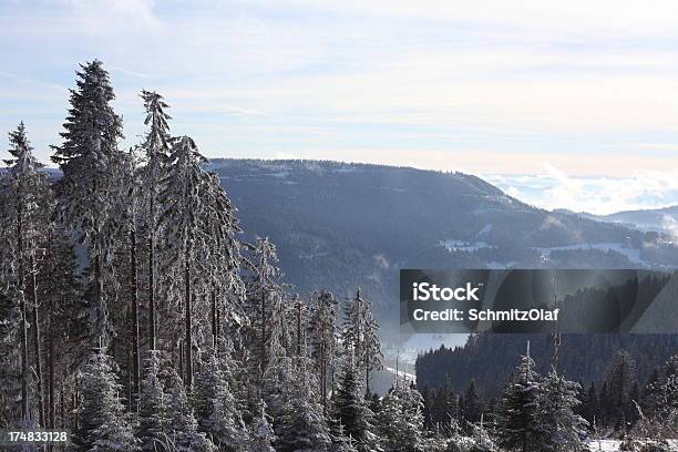 Зимний Пейзаж В Черный Лес — стоковые фотографии и другие картинки Без людей - Без людей, Горизонтальный, Горная гряда