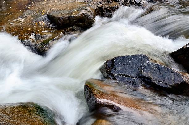 torrent de la montagne, saint vrain canyon, dans le colorado - st vrain photos et images de collection