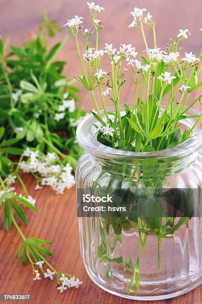 Copo De Sweet Woodruff - Fotografias de stock e mais imagens de Alimentação Saudável - Alimentação Saudável, Aspérula, Branco