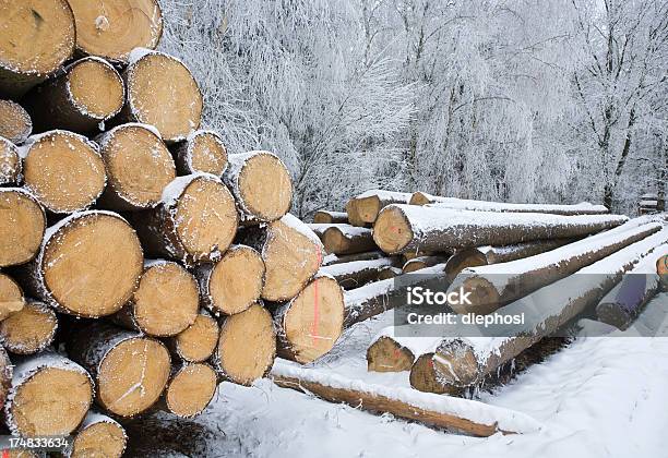 Deforested - Fotografias de stock e mais imagens de A nevar - A nevar, Amontoar, Arranjo