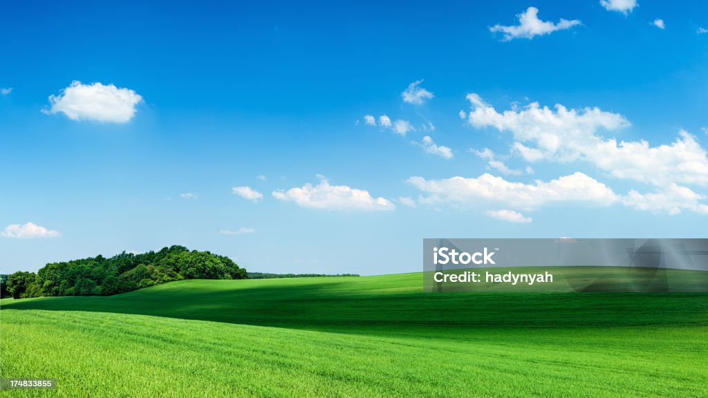 Panoramica 80MPix XXXXL primavera paesaggio verde campi blu cielo, - Foto stock royalty-free di California
