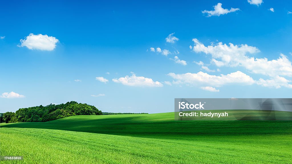Panoramiczne wiosnę Krajobraz 80MPix XXXXL-zielone pole z błękitnego nieba - Zbiór zdjęć royalty-free (Obficie ulistniony)