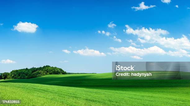 Panoramiczne Wiosnę Krajobraz 80mpix Xxxxlzielone Pole Z Błękitnego Nieba - zdjęcia stockowe i więcej obrazów Obficie ulistniony