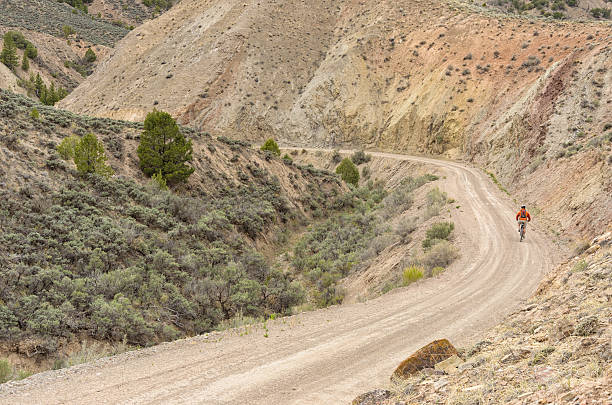 istock Mountain Biker in Scenic Canyon 174834233