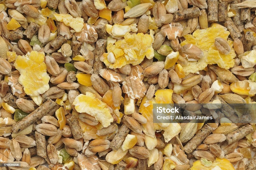 Poulet mélange de maïs fond - Photo de Aliment pour animaux de compagnie libre de droits