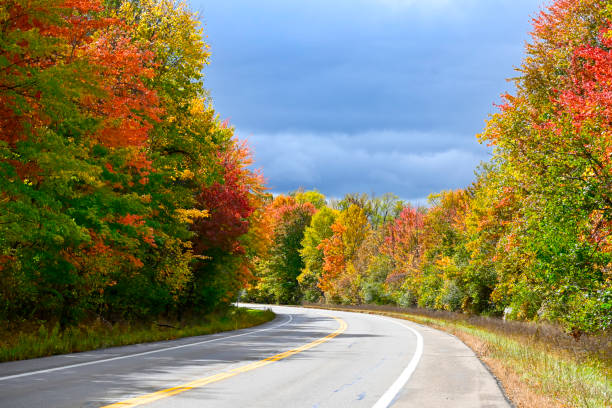 road in autumn stock photo