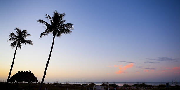 istock Palm trees and hut in early morning glow 174834972