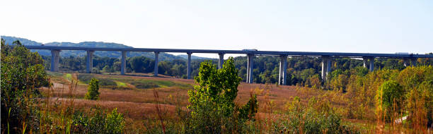 The bridge stock photo