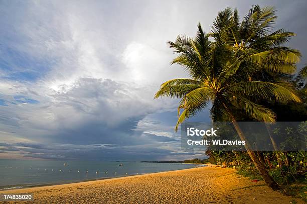 Photo libre de droit de Littoral Tropicale banque d'images et plus d'images libres de droit de Arbre - Arbre, Arbre tropical, Asie du Sud-Est