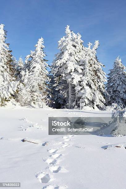 Invierno Paisaje Con Trail Foto de stock y más banco de imágenes de Abeto - Abeto, Aire libre, Azul