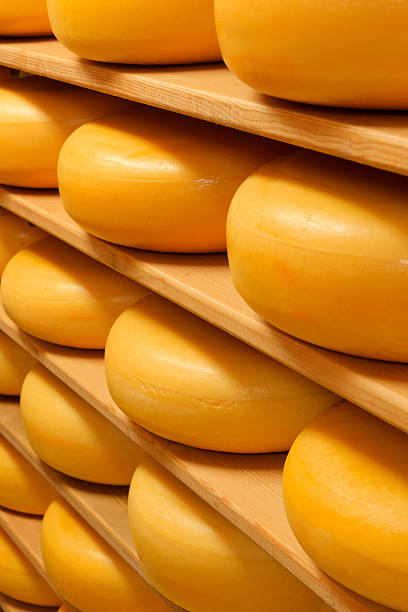 istock cheeses on the shelves at a dairy farm 174835187