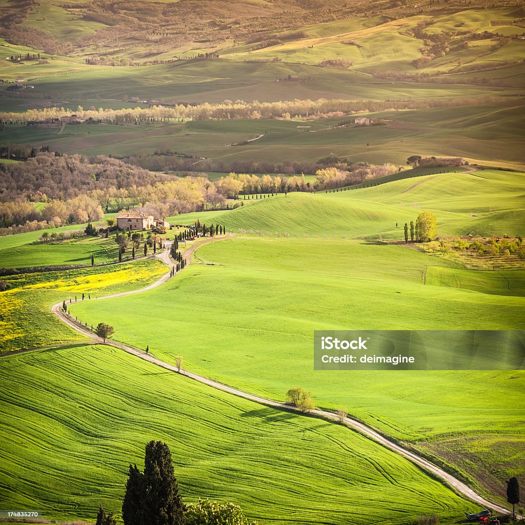 Farm in colline toscane - Foto stock royalty-free di Agricoltura