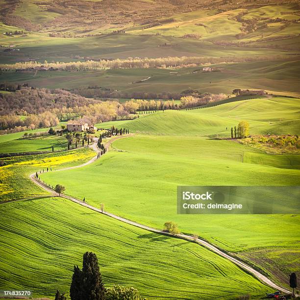 Farm In Colline Toscane - Fotografie stock e altre immagini di Agricoltura - Agricoltura, Ambientazione esterna, Bellezza naturale