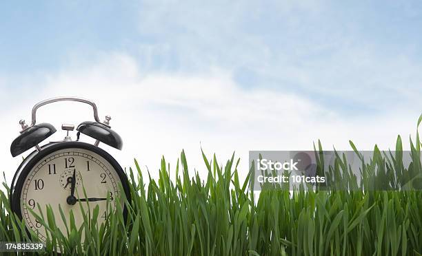 Primavera Está Disponível - Fotografias de stock e mais imagens de Ao Ar Livre - Ao Ar Livre, Azul, Cena Rural