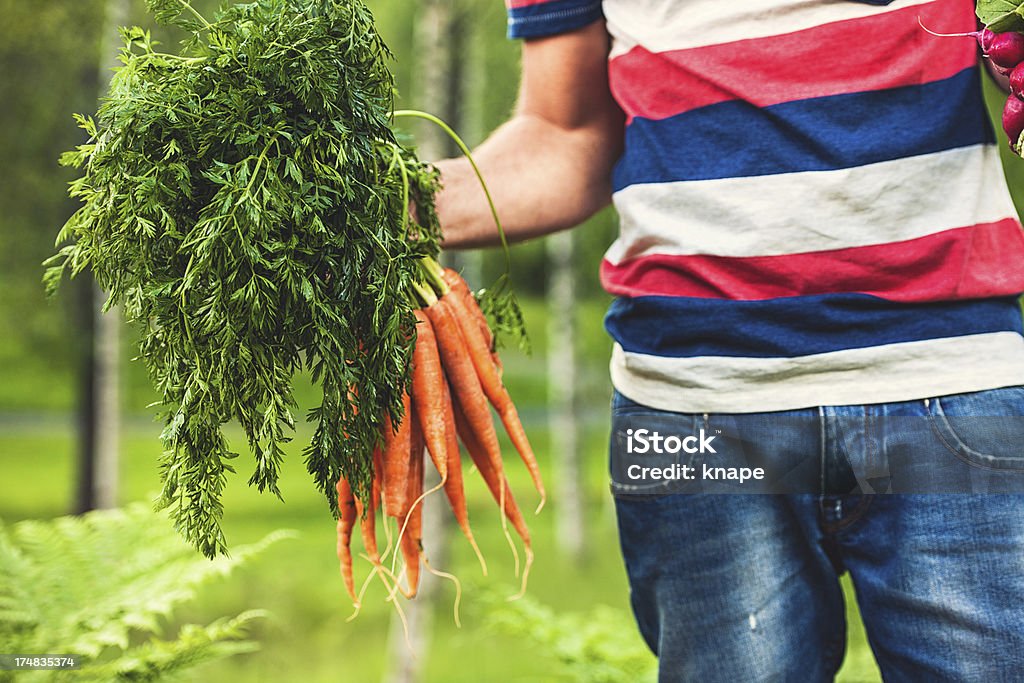 Homme avec l'intérieur de carottes - Photo de 30-34 ans libre de droits