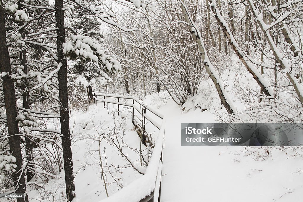 Valla cubierto de nieve - Foto de stock de Aire libre libre de derechos