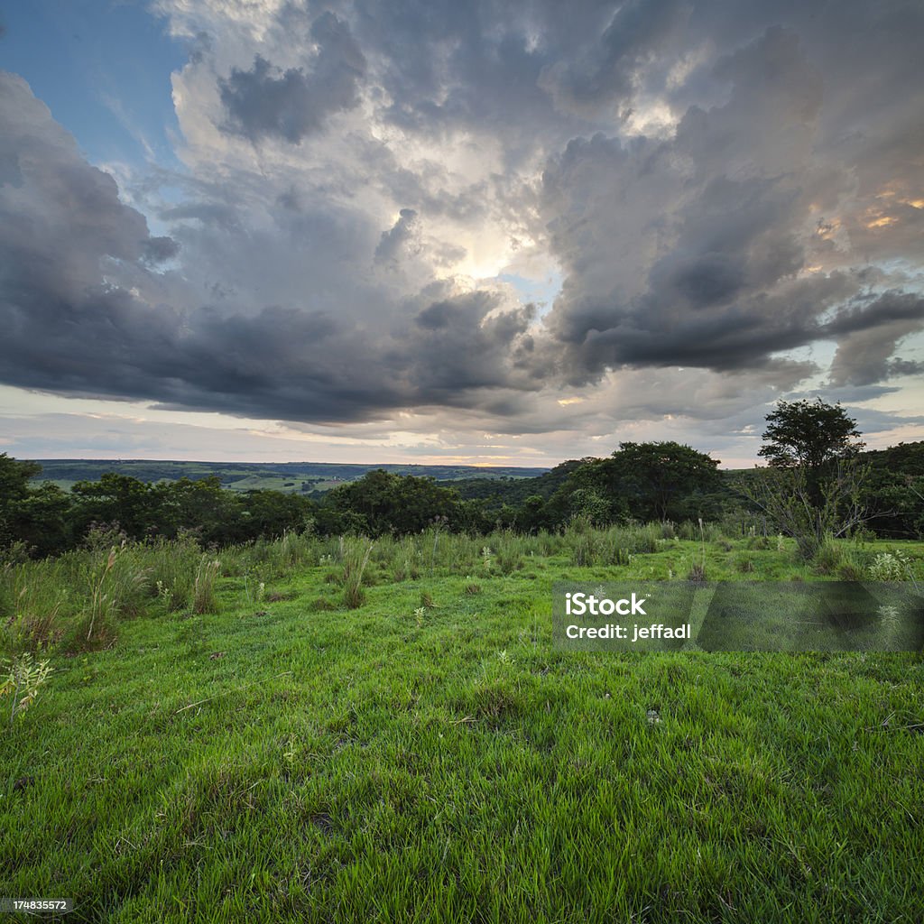 Dramático pôr do sol sobre a floresta de campo aberto - Foto de stock de Brasil royalty-free