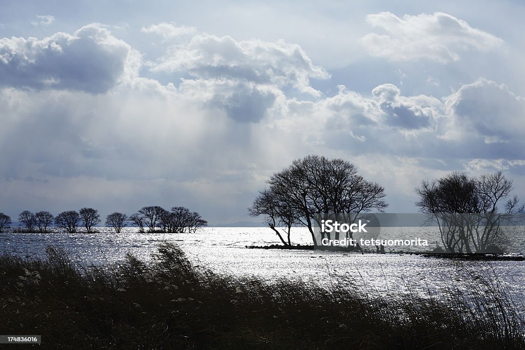 Lago Biwa in inverno - Foto stock royalty-free di Lago Biwa