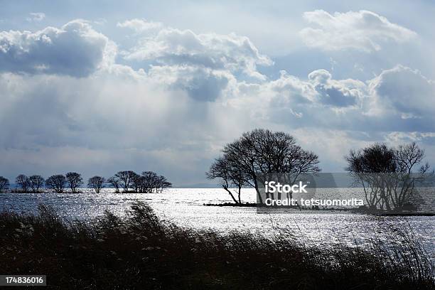 Lago Biwa No Inverno - Fotografias de stock e mais imagens de Lago Biwa - Lago Biwa, Inverno, Ao Ar Livre