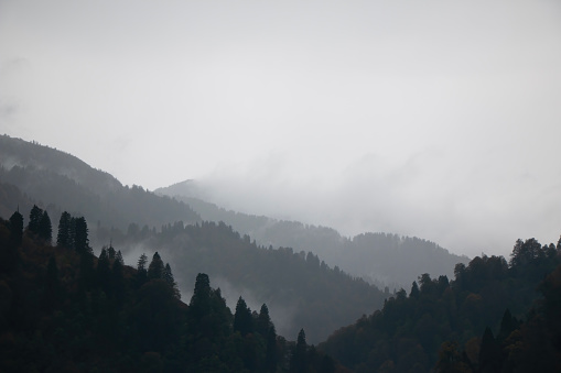 Misty mountains, black and white photo