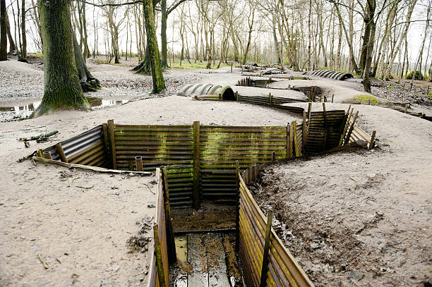 ww1 trenches, sanctuary drewna, ypres, belgia - world war i battlefield nobody mud zdjęcia i obrazy z banku zdjęć