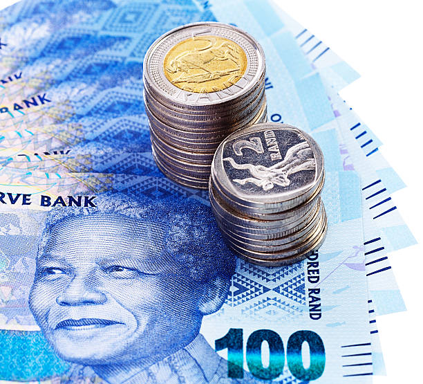 ファンアウト南アフリカ banknotes 、硬貨をペーパーウエイト - nelson mandela wildebeest blue new ストックフォトと画像