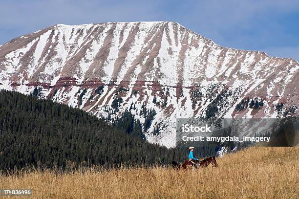 Rocky Mountain Panorama Da Cowgirl - Fotografie stock e altre immagini di Adulto - Adulto, Adulto di mezza età, Albero sempreverde