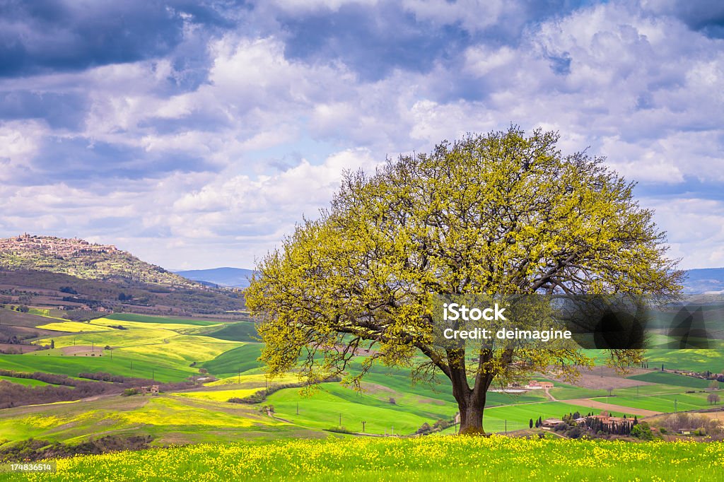 Toskana Landschaft - Lizenzfrei Agrarbetrieb Stock-Foto