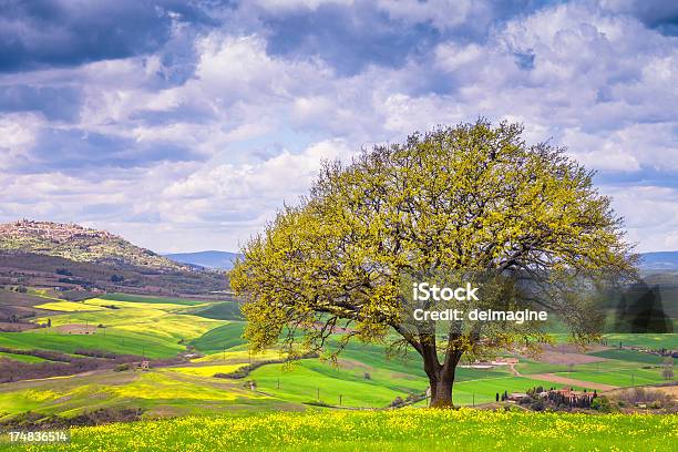 Toskana Landschaft Stockfoto und mehr Bilder von Agrarbetrieb - Agrarbetrieb, Anhöhe, Baum