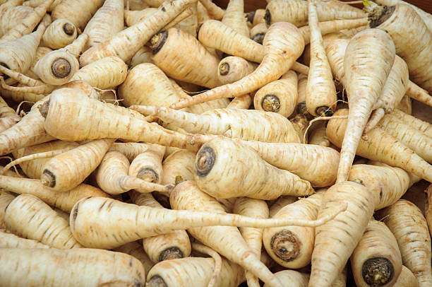 pastinagas - parsnip vegetable winter food imagens e fotografias de stock