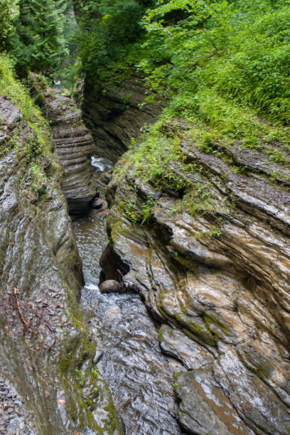 istock Watkins Glen State Park, New York 1748367453