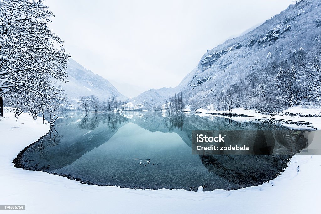 Mountain Lake and Snow, Winter Landscape Lake with frozen trees at early morning Famous Place Stock Photo
